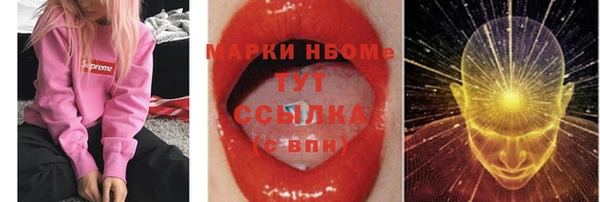 стаф Зеленокумск