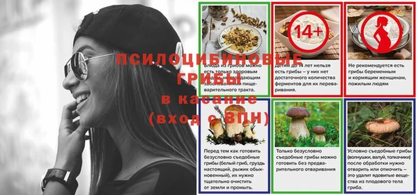 прущие крисы Зеленодольск