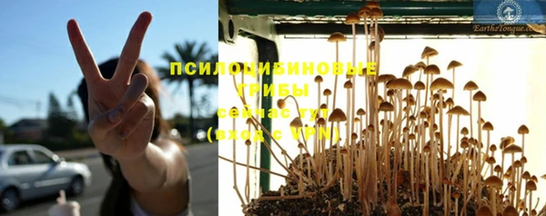 spice Заводоуковск
