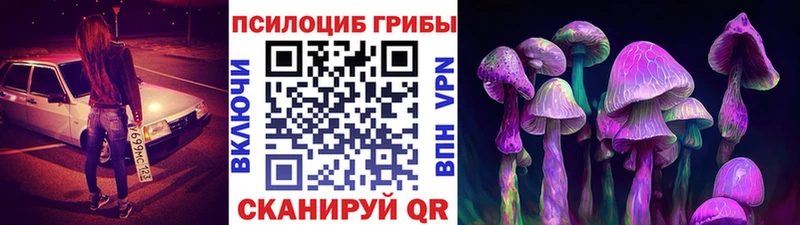 Галлюциногенные грибы Cubensis  где можно купить   Михайловск 